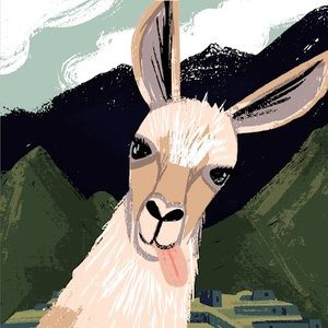 Meet your Posher, Dawn